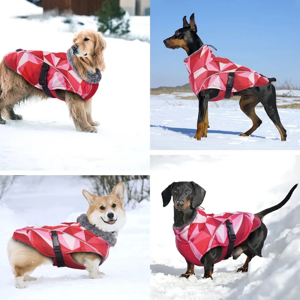 Dog Cold Weather Jacket - Picture 3 of 15
